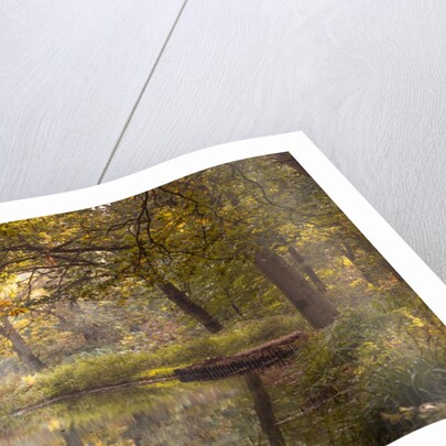 Basingstoke canal by Assaf Frank